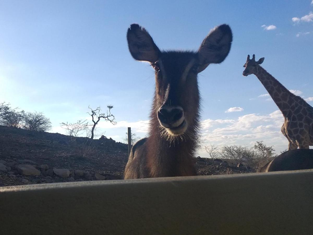 Hotel Uitkyk Guest Farm Usakos Zewnętrze zdjęcie