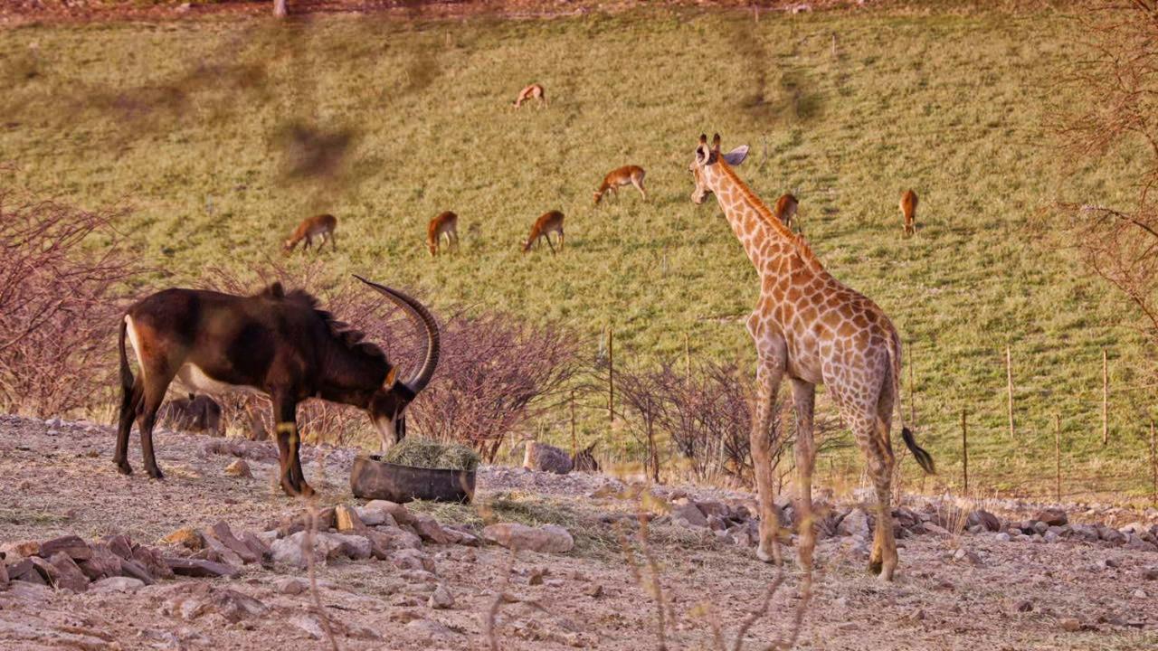 Hotel Uitkyk Guest Farm Usakos Zewnętrze zdjęcie