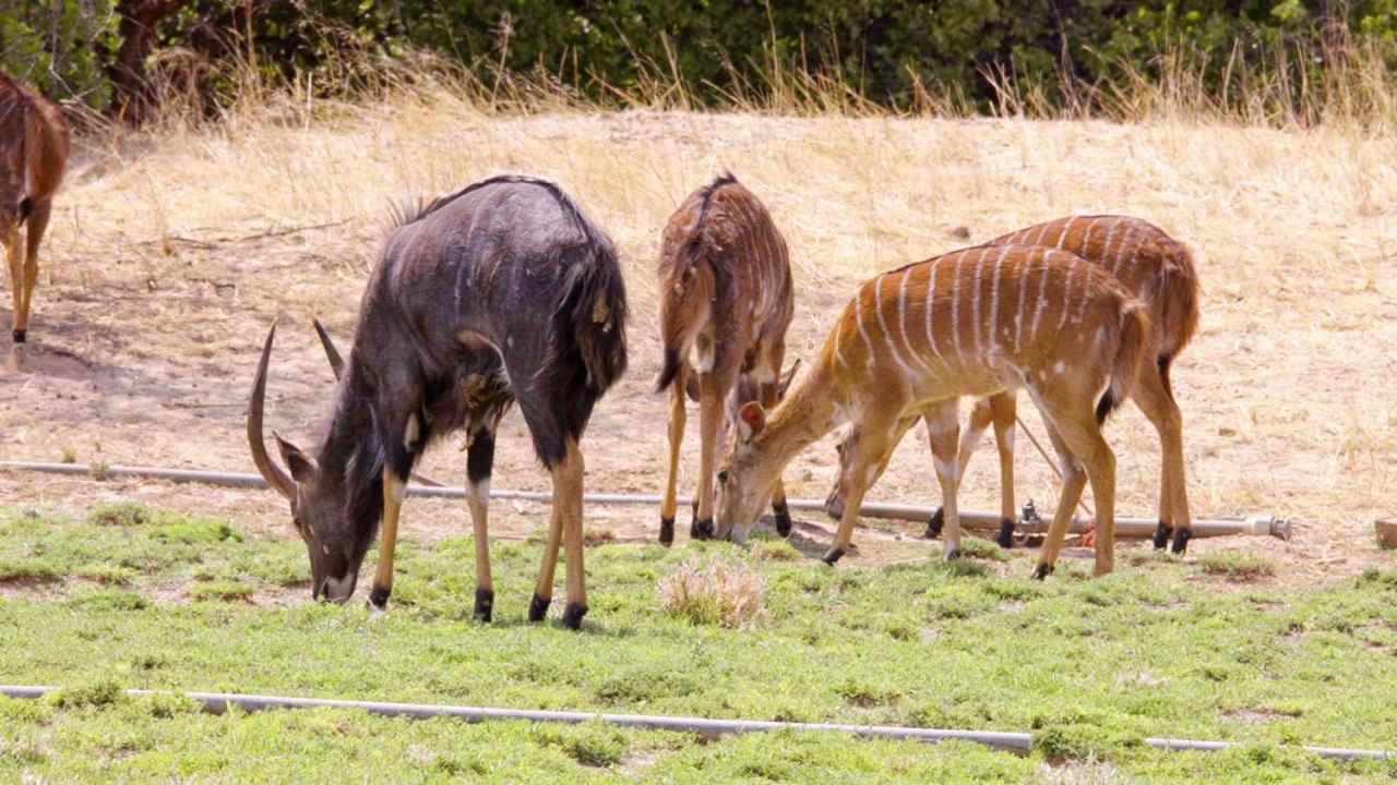 Hotel Uitkyk Guest Farm Usakos Zewnętrze zdjęcie